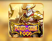 Power of Odin 1000